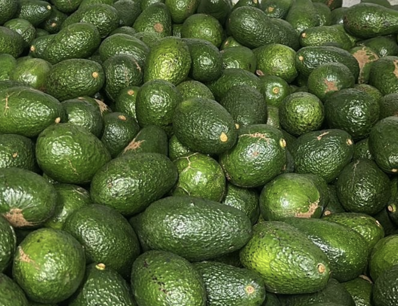 Palta Hass Comercial Grande 10 KG