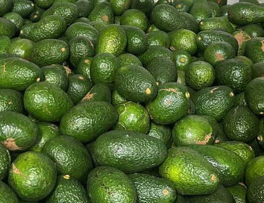 Palta Hass Comercial Grande 10 KG