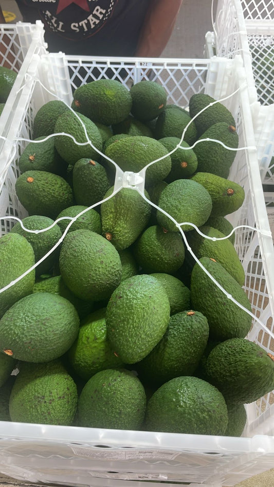 PALTA HASS PERUANA GRANDE CAT 1